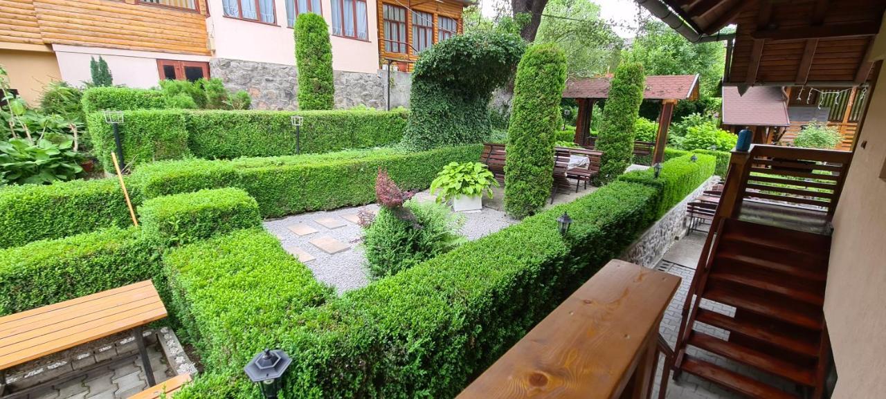 Casa Edy Ξενοδοχείο Sovata Εξωτερικό φωτογραφία