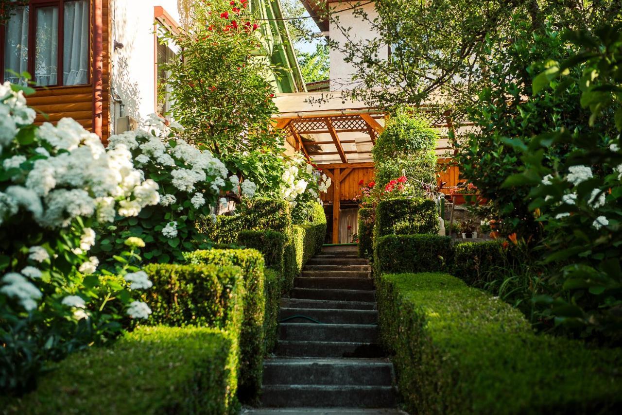 Casa Edy Ξενοδοχείο Sovata Εξωτερικό φωτογραφία